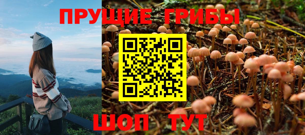 Псилоцибиновые грибы мухоморы Находка